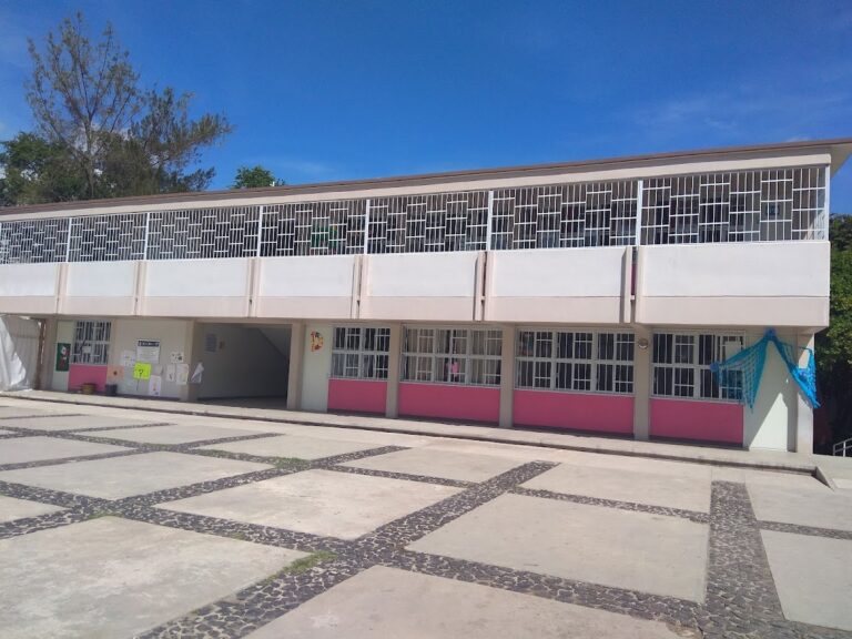 41384 escuela primaria gral. vicente guerrero 768x576