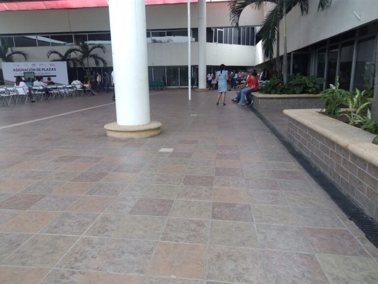 41390 secretaria de educacion colima 768x576