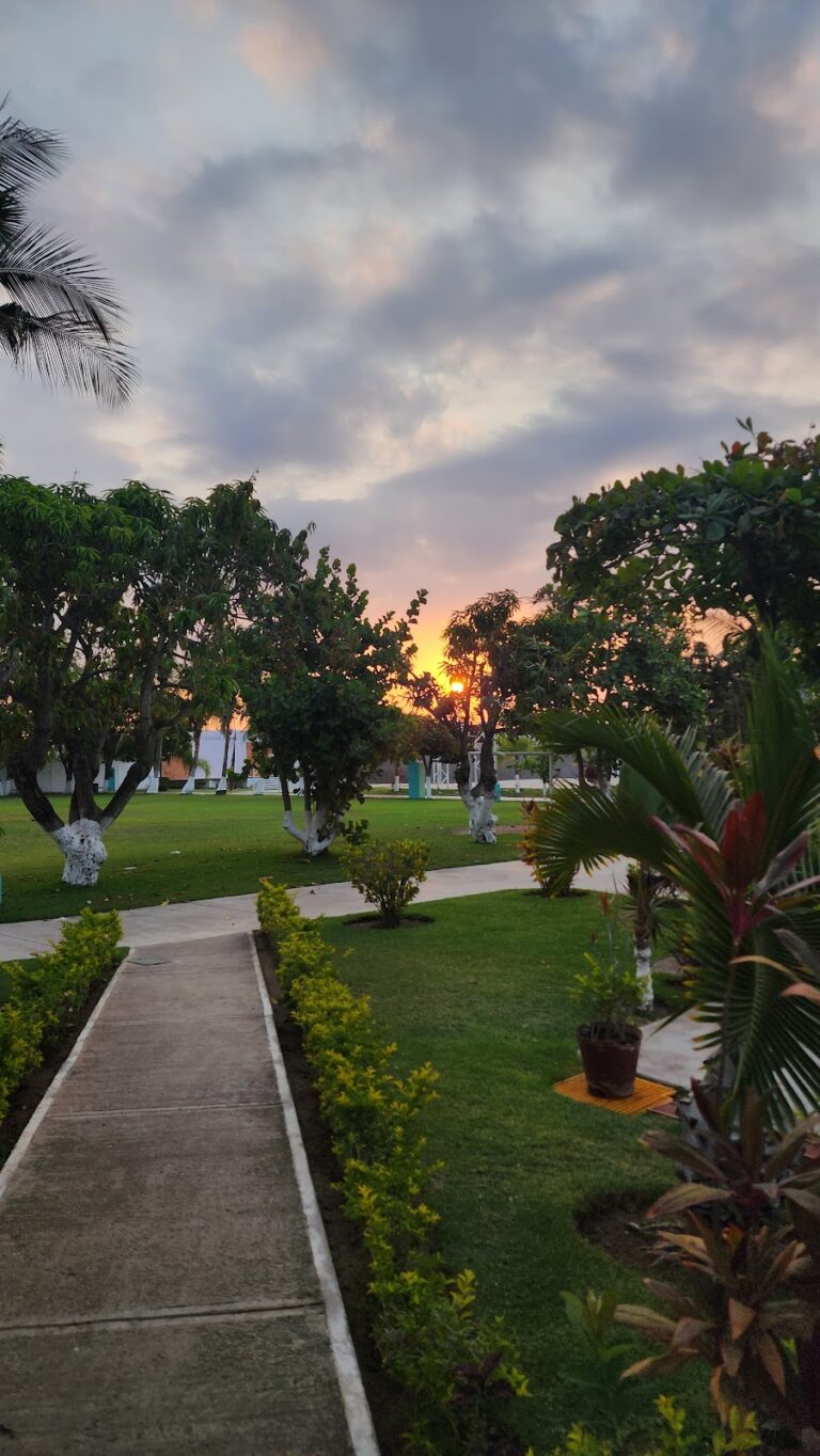 41505 colegio bahia de banderas 768x1364