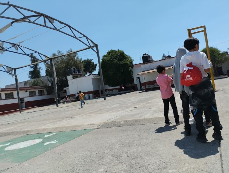 41515 escuela primaria jose palomar 768x579