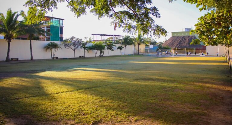 41520 colegio benito juarez nueva era mezcales bahia de banderas nayarit 768x414