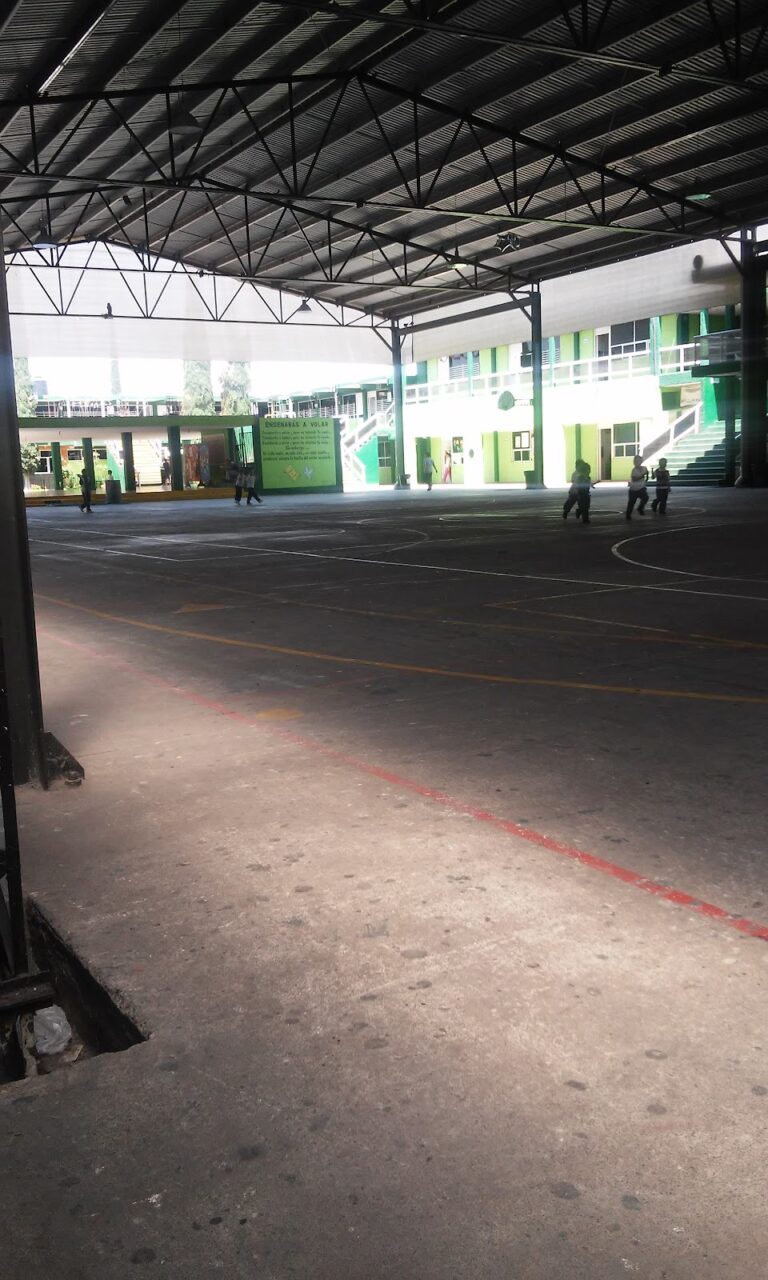 41546 la poderosa pom la papu escuela 768x1280