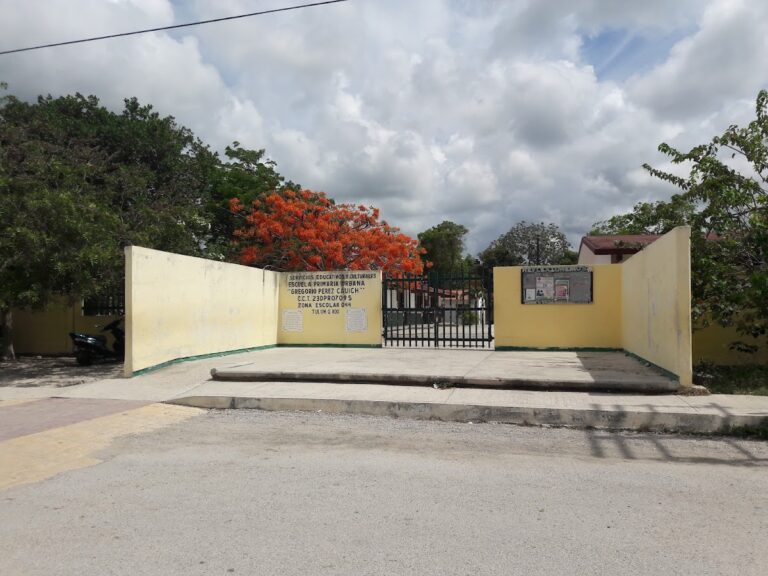 41572 escuela primaria gregorio perez cauich 768x576
