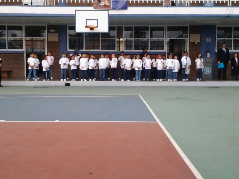 41661 colegio mexico primaria 768x576