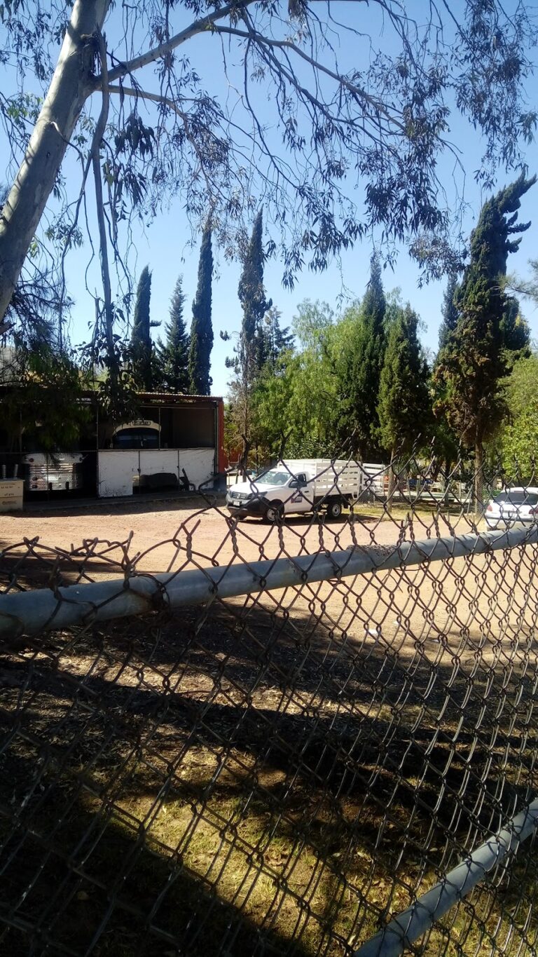 41725 escuela secundaria tecnica no. 32 768x1365