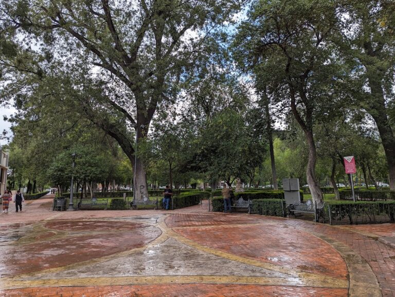 41783 escuela secundaria profr. federico berrueto ramon 768x579