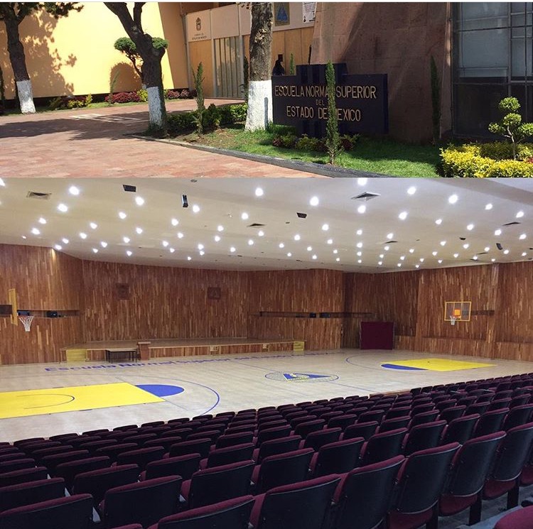 41910 escuela secundaria oficial no. 0005 anexa a la ensem prof. camerino lara castillo