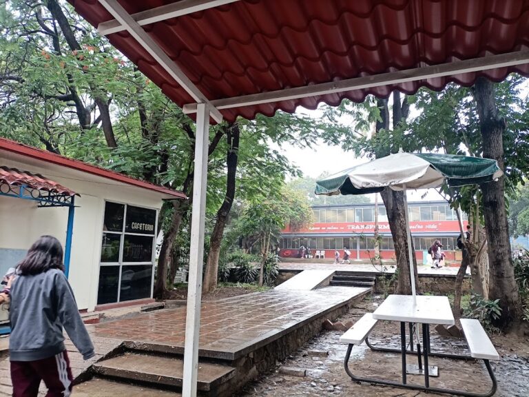 42001 esc. sec. tec. num. 1 20dst0085t 768x576