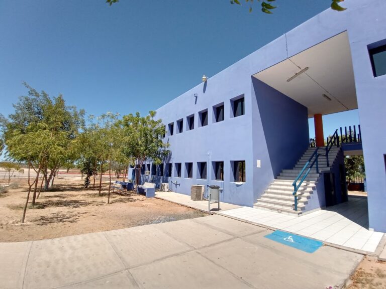 42202 universidad internacional de la paz 768x576