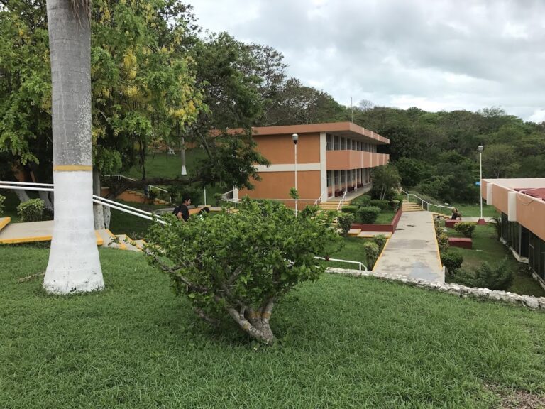 42224 tecnm campus lerma 768x576