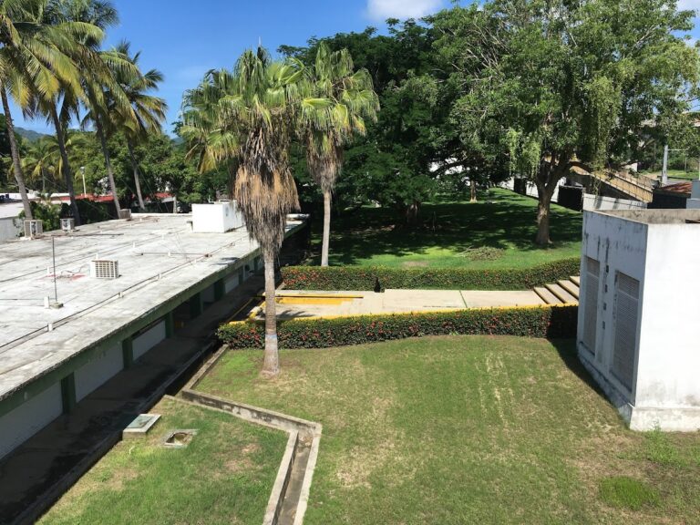 42285 universidad de colima campus el naranjo 768x576