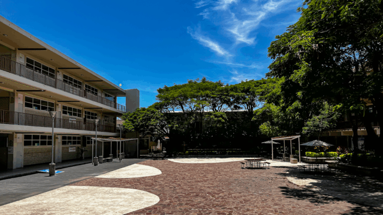 42307 instituto irapuato 768x432