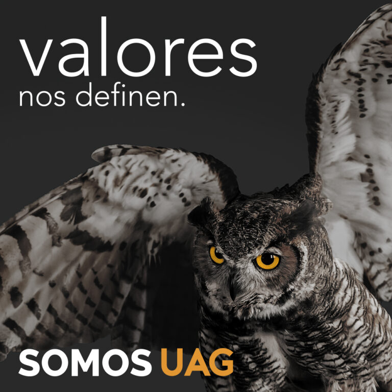 42432 universidad autonoma de guadalajara uag 8211 campus tabasco 768x768