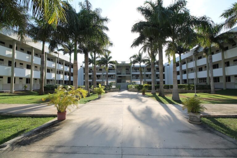 42449 universidad modelo 768x512