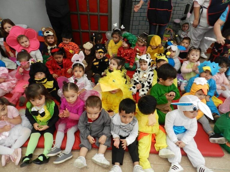 42662 guarderia piccolo anna freud 768x576