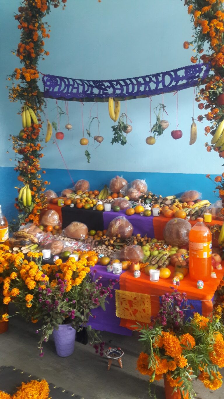 42760 estancia infantil tigrillos 768x1365