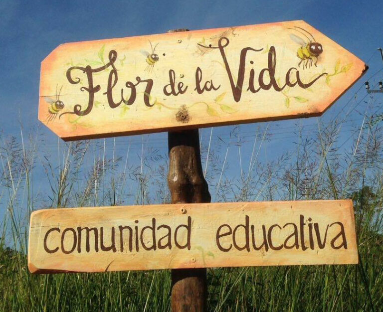 42845 flor de la vida comunidad educativa tulum 768x626