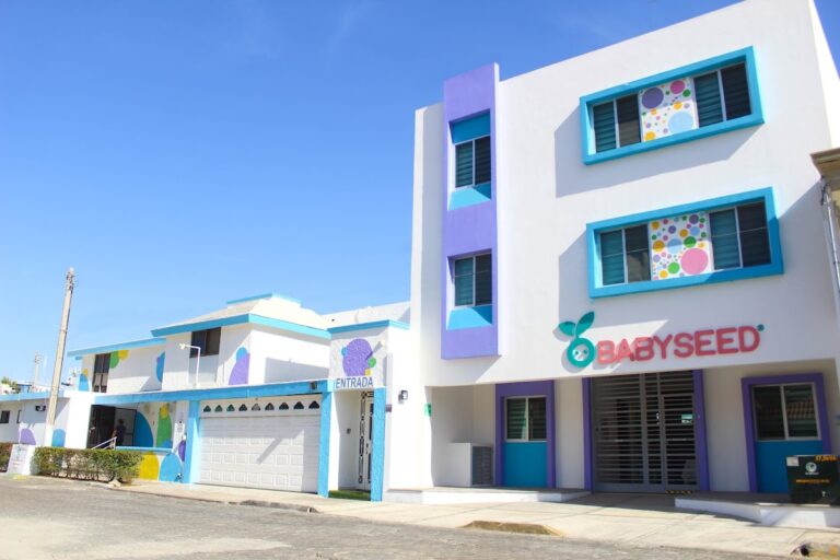 42871 babyseed 768x512