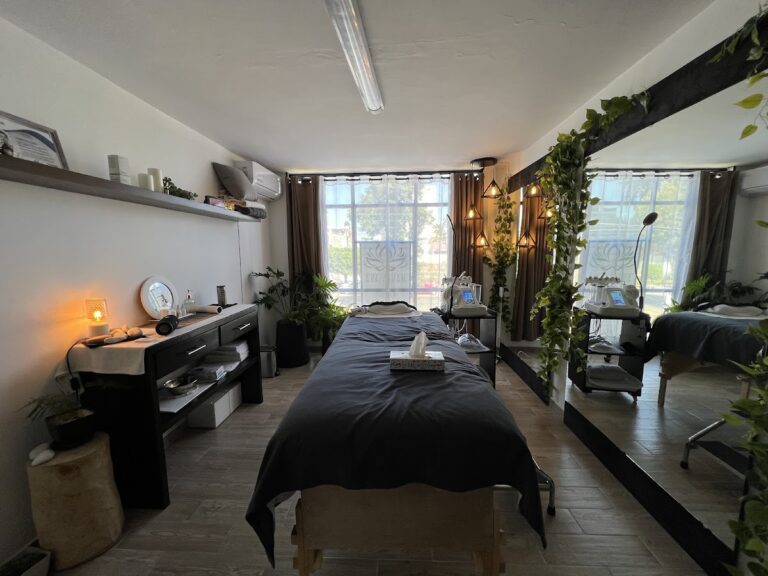 4319 manassana spa 768x576