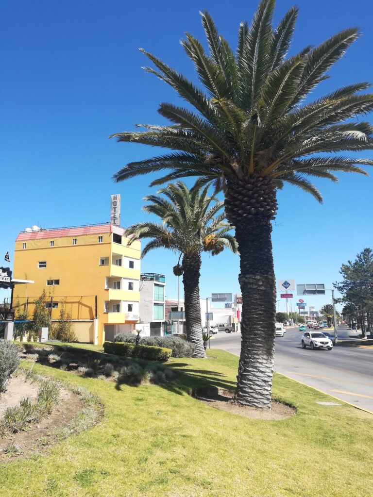 43626 hotel paseo 768x1024