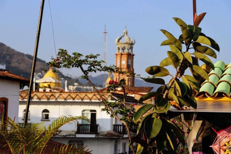 43689 hostel vallarta 768x512