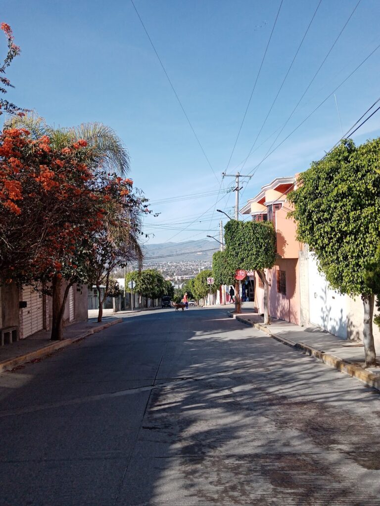 43762 hotel las torres 768x1024