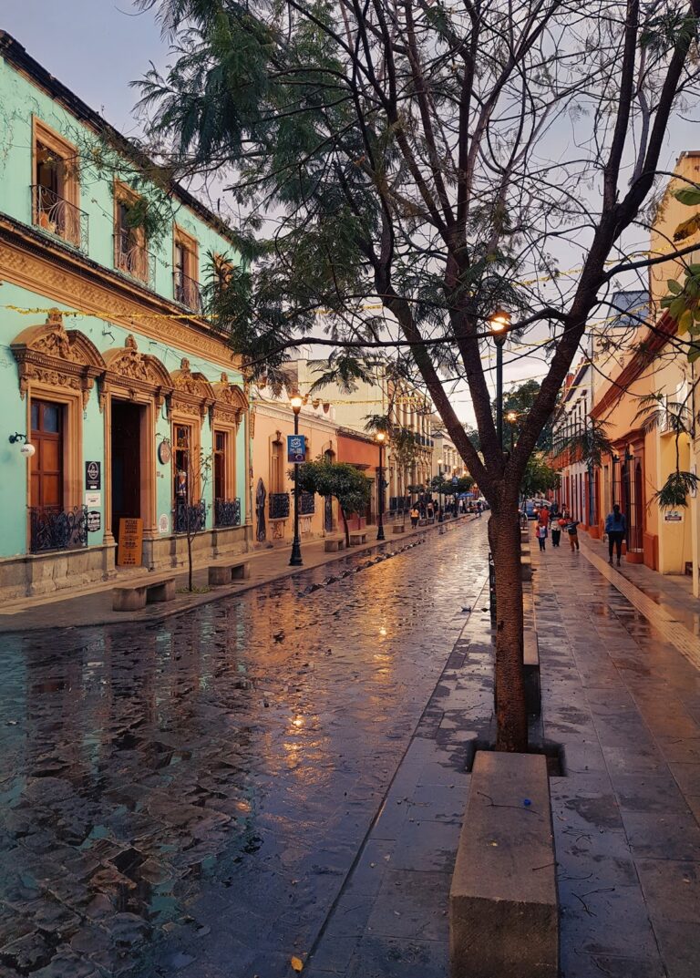 43825 hostal de las americas 768x1073