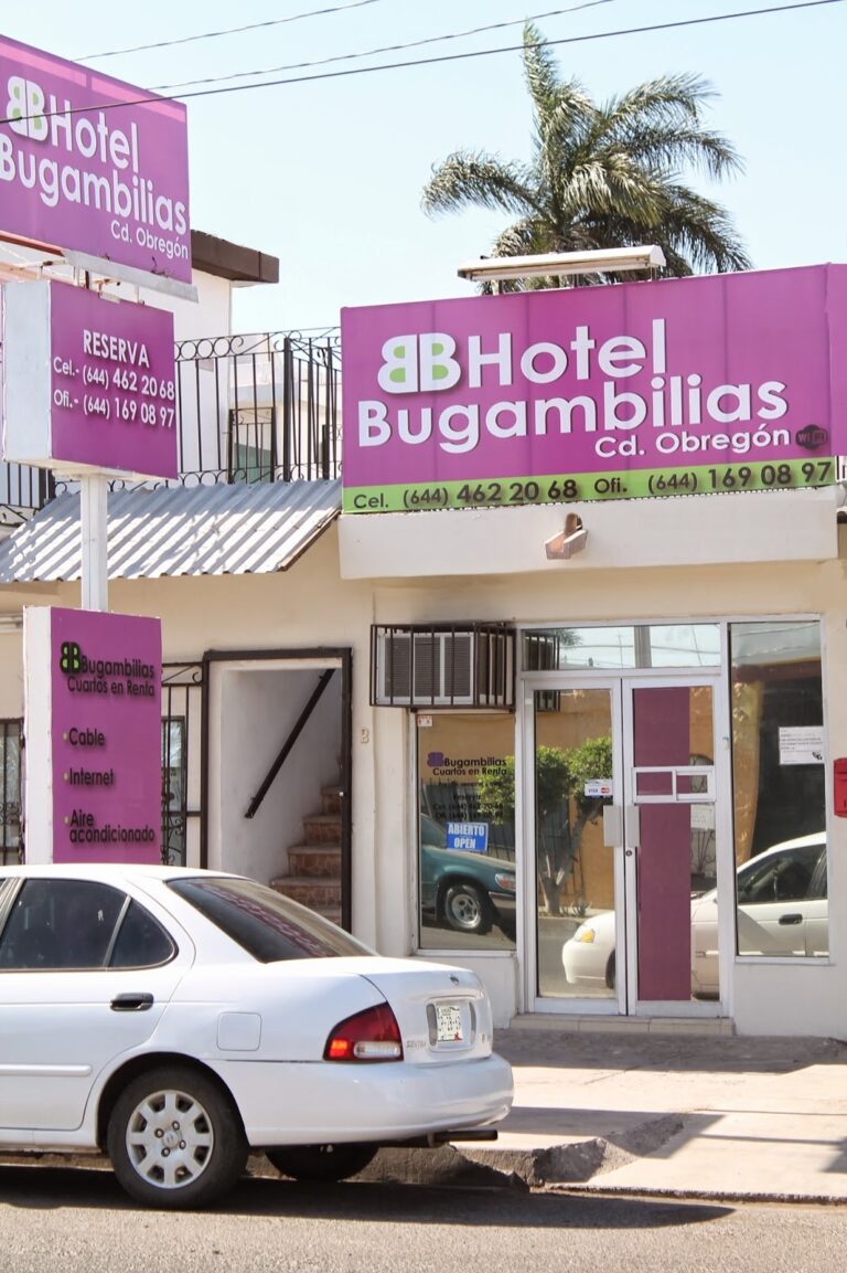 43831 hotel bugambilias 768x1153
