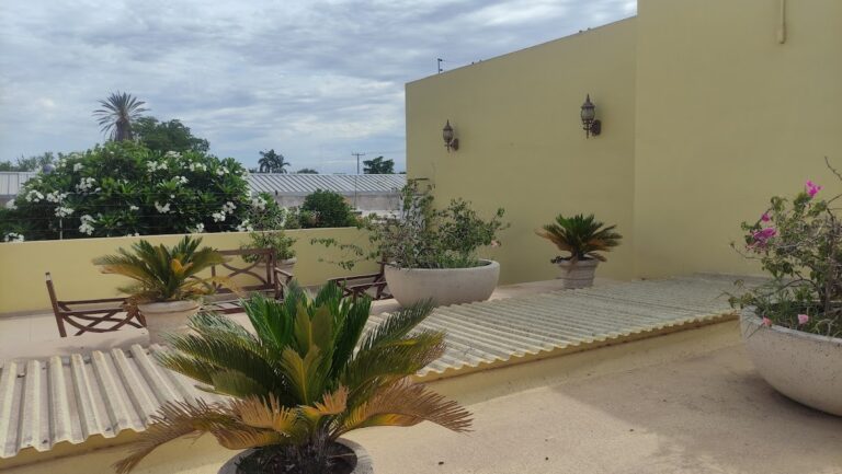 43833 albergue san peregrino 768x433