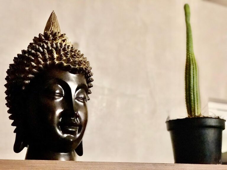 43860 zyanrooms 768x576