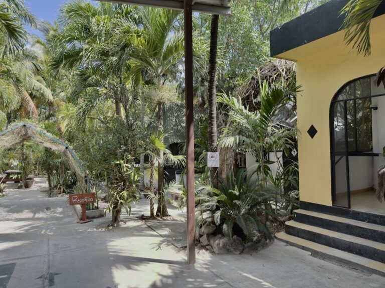 43876 hostel oryx tulum 768x576