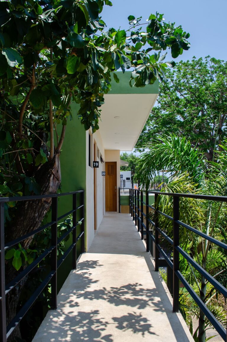 43993 hostik hostel merida centro 768x1159