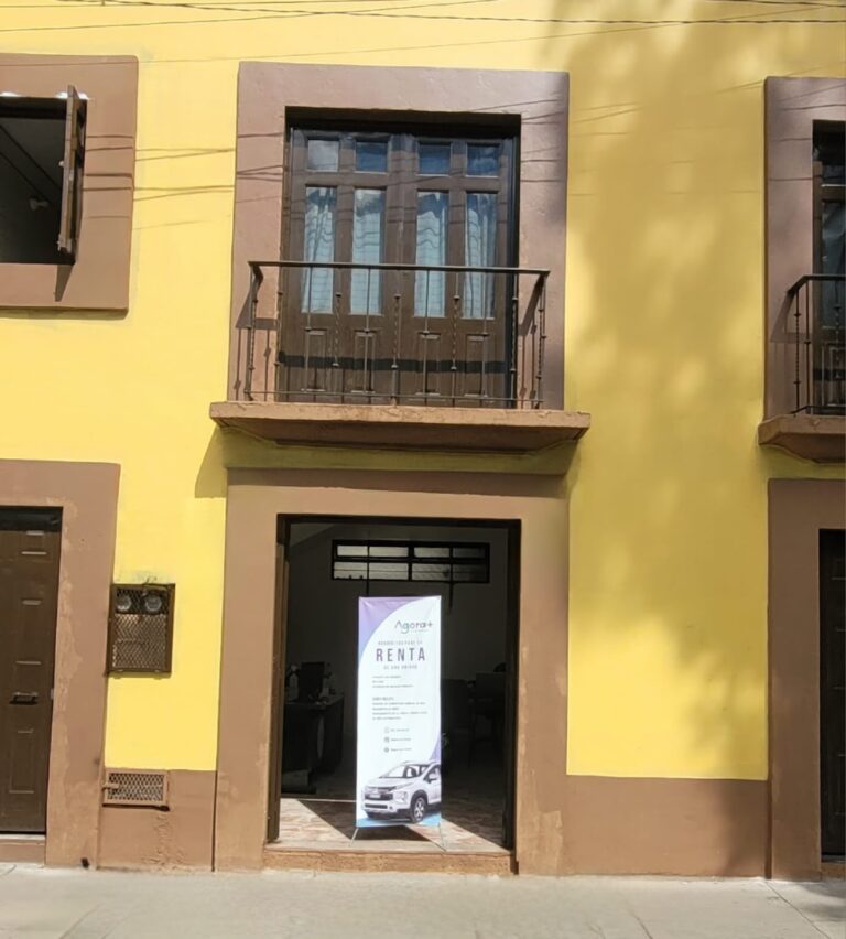 44244 agora car rental 768x852