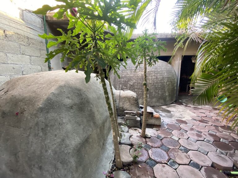 4439 temazcal y masajes faciales 768x576