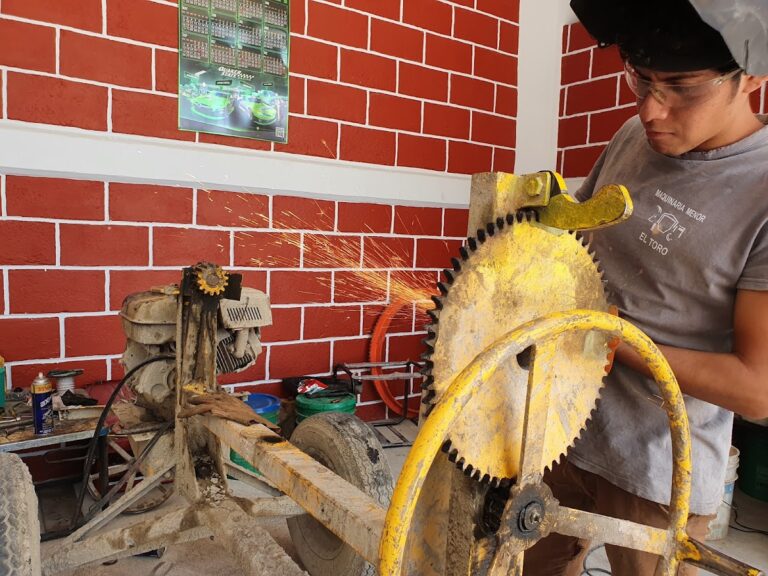 44565 maquinaria menor el toro 768x576