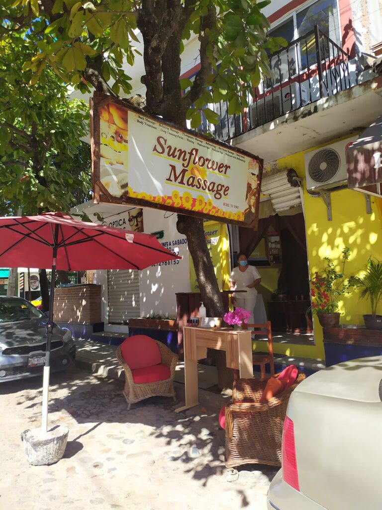 4457 sunflower massage 768x1024