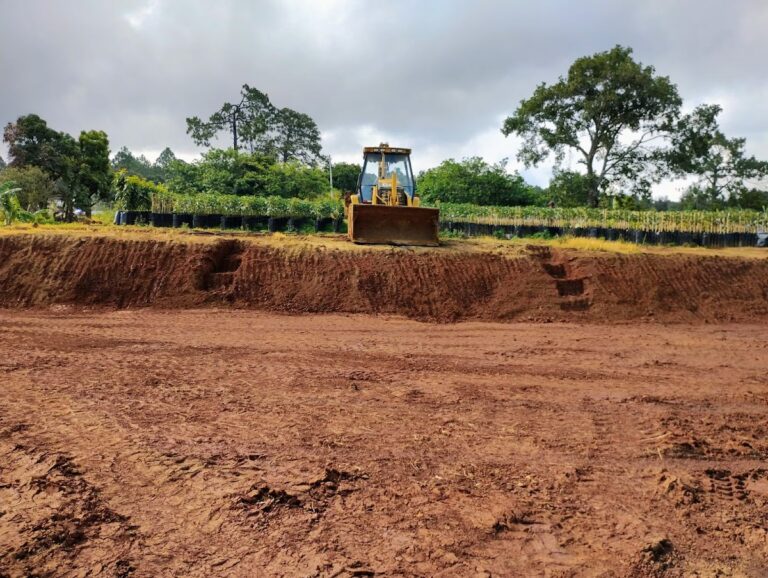 44643 renta de retroexcavadora vegat 768x578