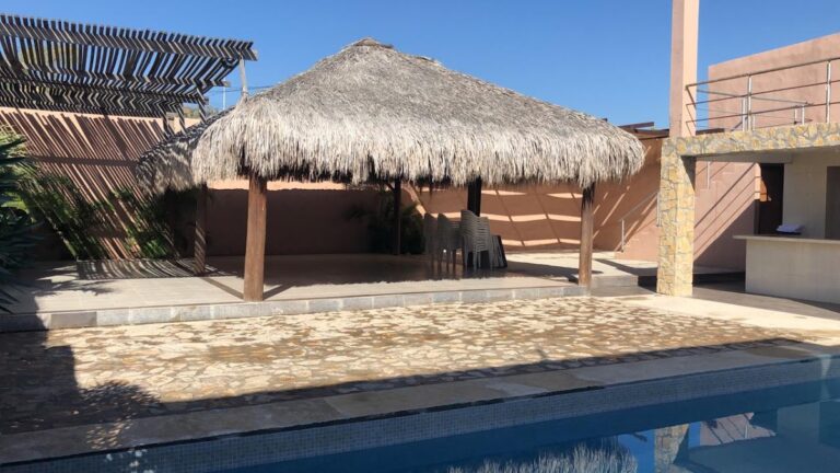 44896 arecas 768x432