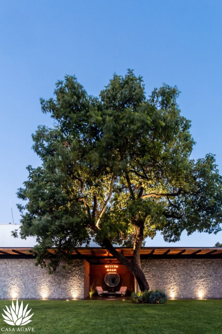 45104 casa agave eventos 768x1152