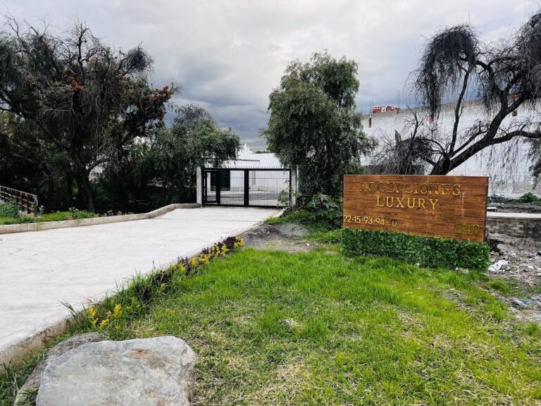 45196 recepciones luxury 768x576