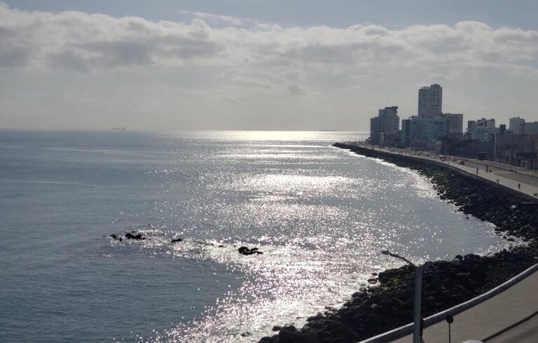 45333 veranda roof garden salon 768x490