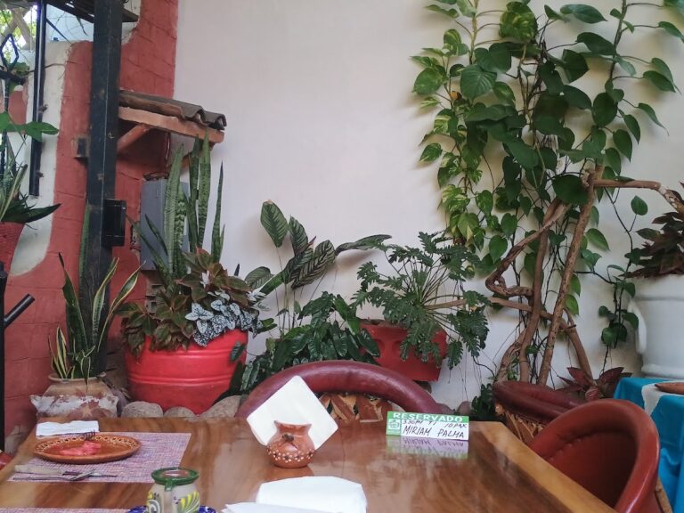 45649 la casa vieja 768x576