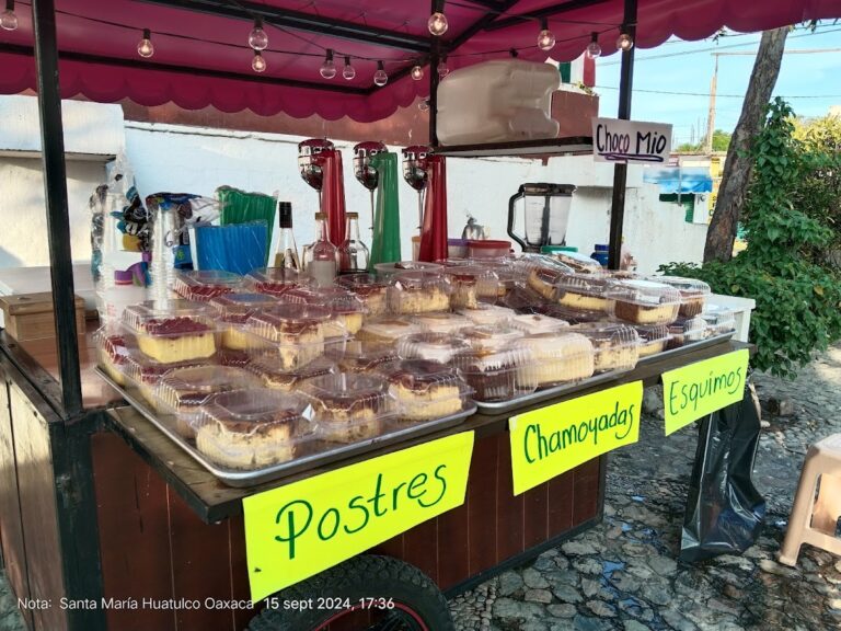 46124 postres del parque huatulco 768x576