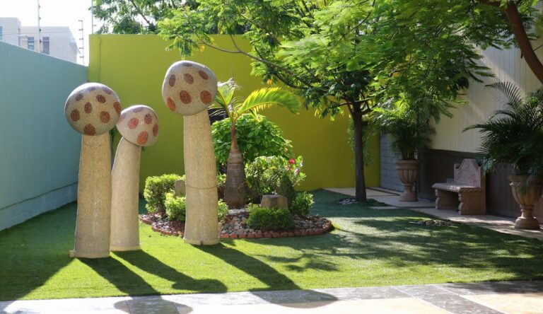 4634 holistycus spa culiacan 768x444