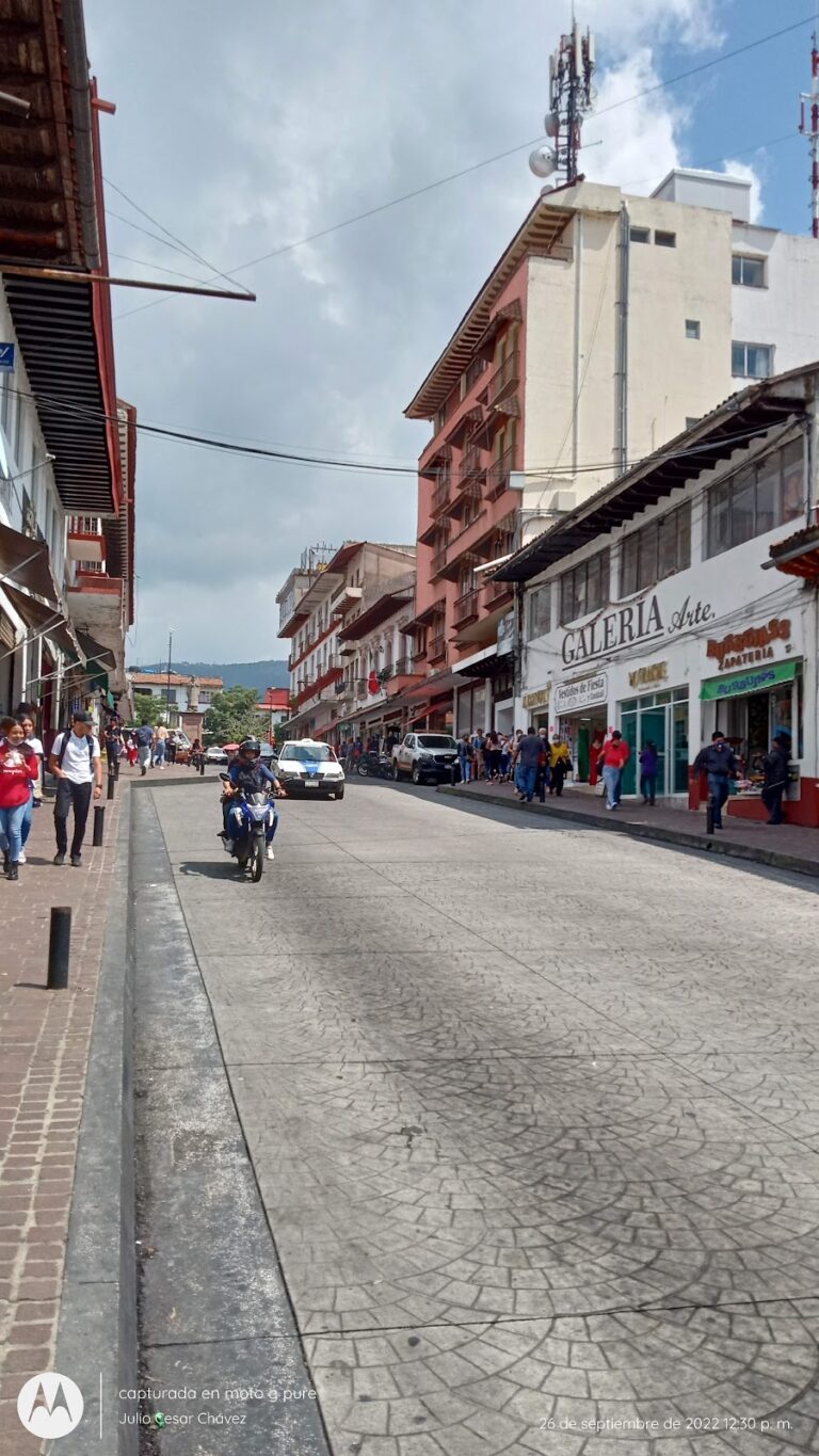 46593 joyeria uruapan sa de cv 768x1365