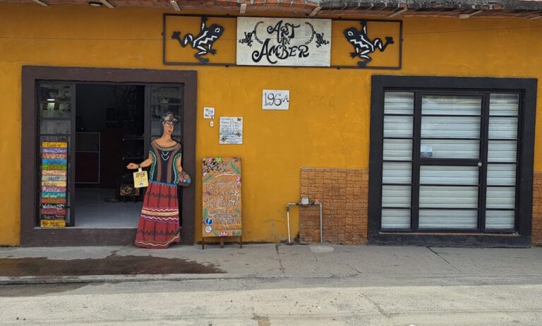 46618 art in amber jewelry shop in bucerias 768x462