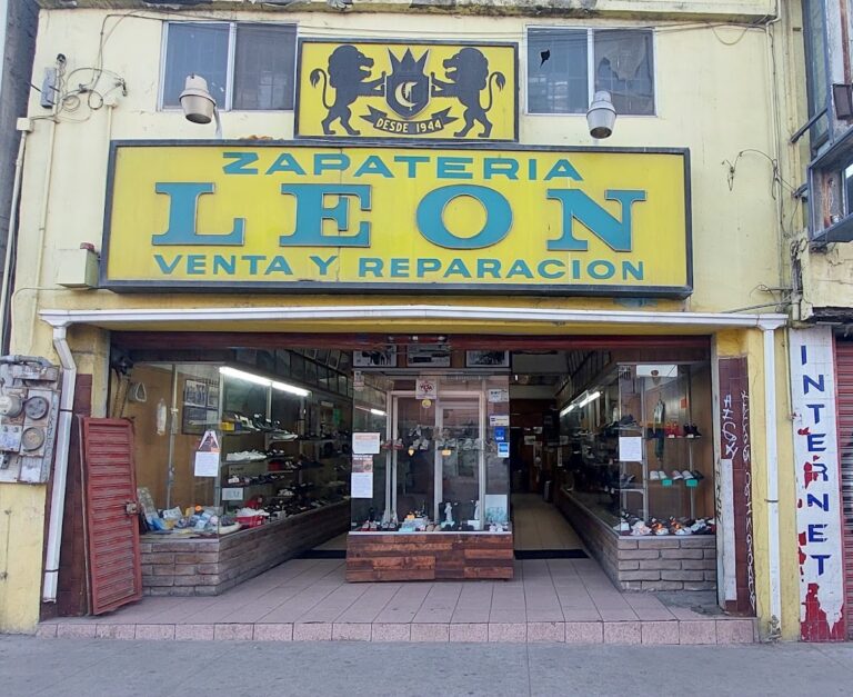 46852 zapateria leon 768x627