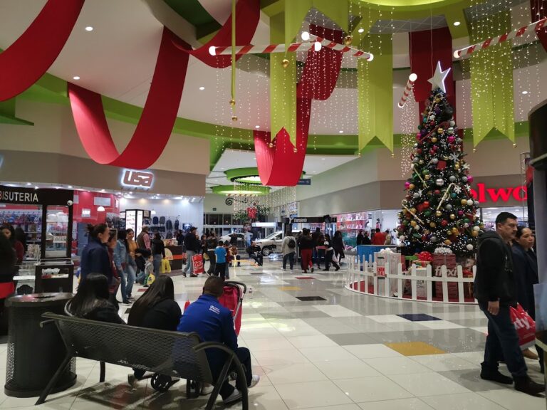 46923 usa shoes chihuahua plaza sendero 768x576