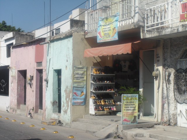 46996 calzado industrial celaya