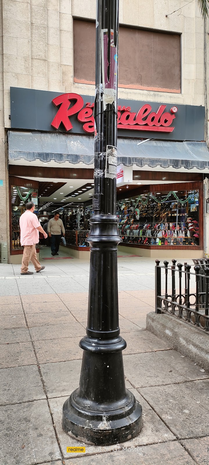 47097 zapateria reynaldo